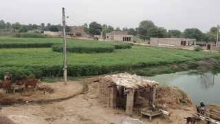 A great weather for a village