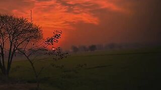 Urdu poetry