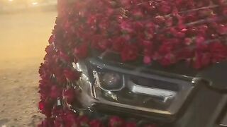 Nice flower