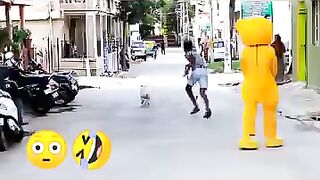 Funny teddy bear funny dogs movement