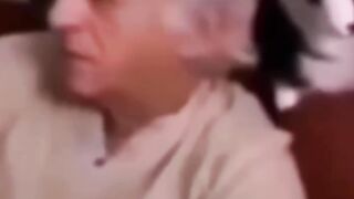 Funny animal videos