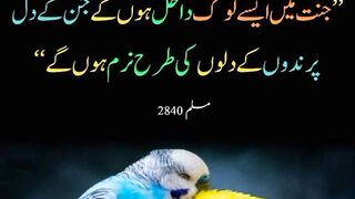 Hadees | Hadees In Urdu