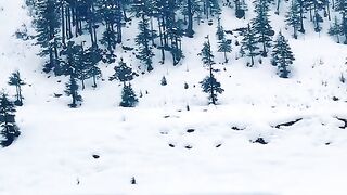 Snowfall in Pakistan | natural beauty of pakistan