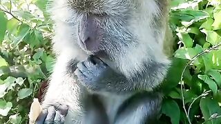 Ngemil kerupuk