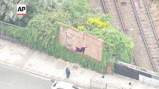 Banksy reveals his latest artwork on a London billboard_ a black cat stretching.