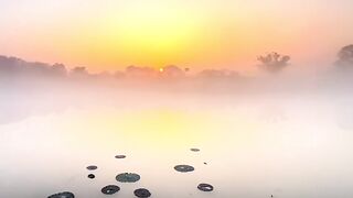 Bio of amazing natural beauty
