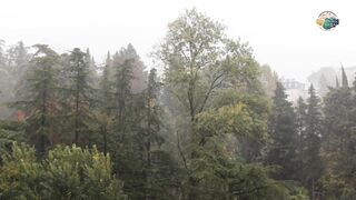 Romantic Love Song in English I Rain Song I Whispers in Rain I #musicvideo