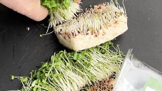 Super Salad Tomato Butterfly Carving Garnish #vegetablecarving #SuperSalad #cuttingskills