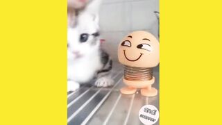 This is what happens when cats are given cute toys