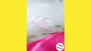 Take a look at this cute dog when brought close to a finger and what happens
