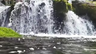 Beautiful nature 196