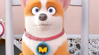 Moco and Yummy | Moco dog cartoon funny video