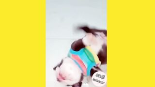 When sleeping dogs roll over and head balloons