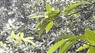 Beautiful Rain 3