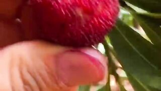 Enjoy Beautiful Nature Life ????