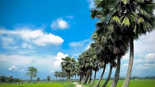 Beautiful nature