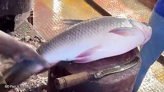 Amazing Cutting Skills  Giant Rohu Fish Cutting Skills By Expert Fish Cutter