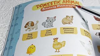DOMESTIC ANIMALS