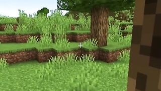 Minecraft moment 2