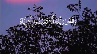 Quran Al Kareem https://hey.link/WV9p7
