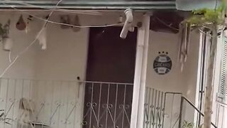 why is it there? does anyone know? If anyone knows, comment, guys!