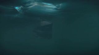 What Happened To The Nautilus
