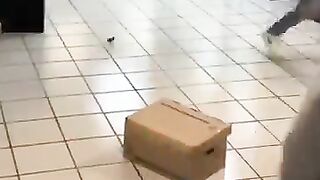 People's Funny Fails 2????????????????