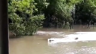 Eita olha isso gente!!