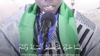 Beautiful quran recitation surah al nihil