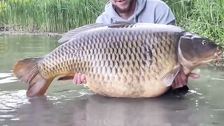 Catching fish 2