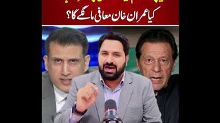 Imran Khan PTI Tigress Aliya Hamza Released From Jail After 14months Viral video