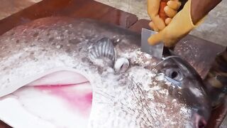 Amazing！Giant Sunfish Cutting Skills, Sunfish Catching, Sunfish Jelly