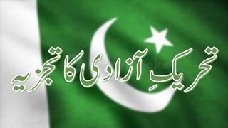 Analysis of Freedom Movement.