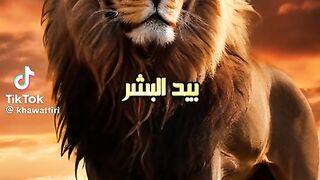 لا إله إلا الله 2
