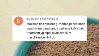 Cara persiapan KOLAM sebelum tebar bibit lele
