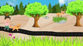 animatoin video