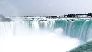 video 836