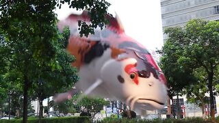 Big fish in our city