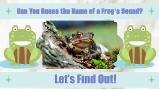 The Surprising Name of a Frog's Voice Revealed!