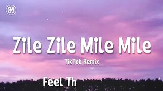 Zile zile song