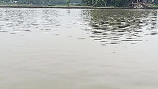 নৌকা পারাপার যমুনা নদীতে