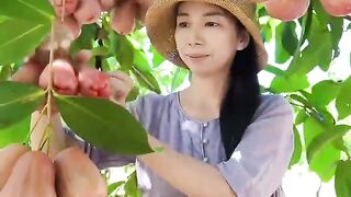 Enjoy beautiful nature with rural life 114