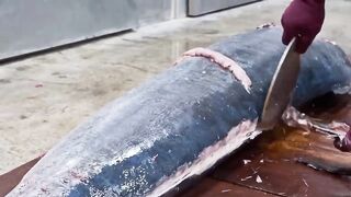 Amazing skill！White marlin cutting Master, Fried fish belly, Luxurious sashimi