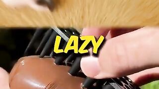 Funny Things Lazy Kids Do Edition Episode 001
