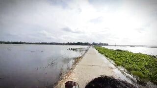 Pabna gajnar biler joss weather