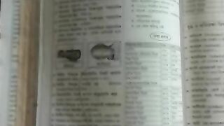 Know 220