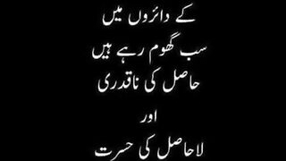 beautiful Urdu quotes /golden words /best aqwale Zareen /heart touching Urdu quotes /motivational Urdu quotes 2
