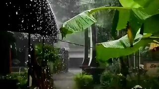 rainy atmosphere in the afternoon