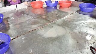 So much hairtail and crazy falling caught fishes falling