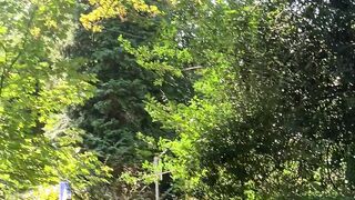 Nature promenade
